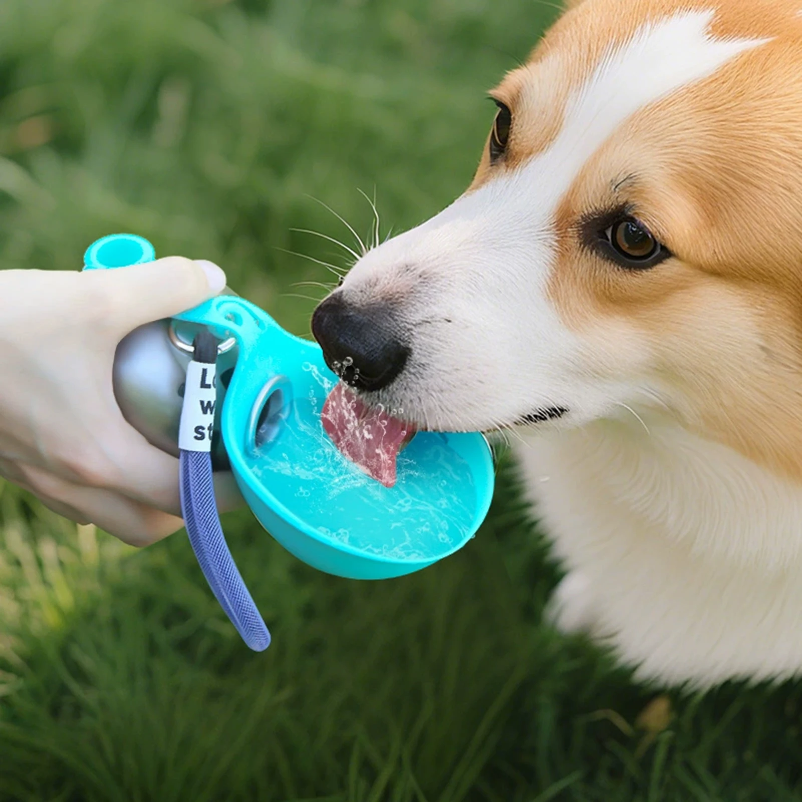Pet Water Bottle 304 Stainless - огляд і ціна Water Bottle Collapsible